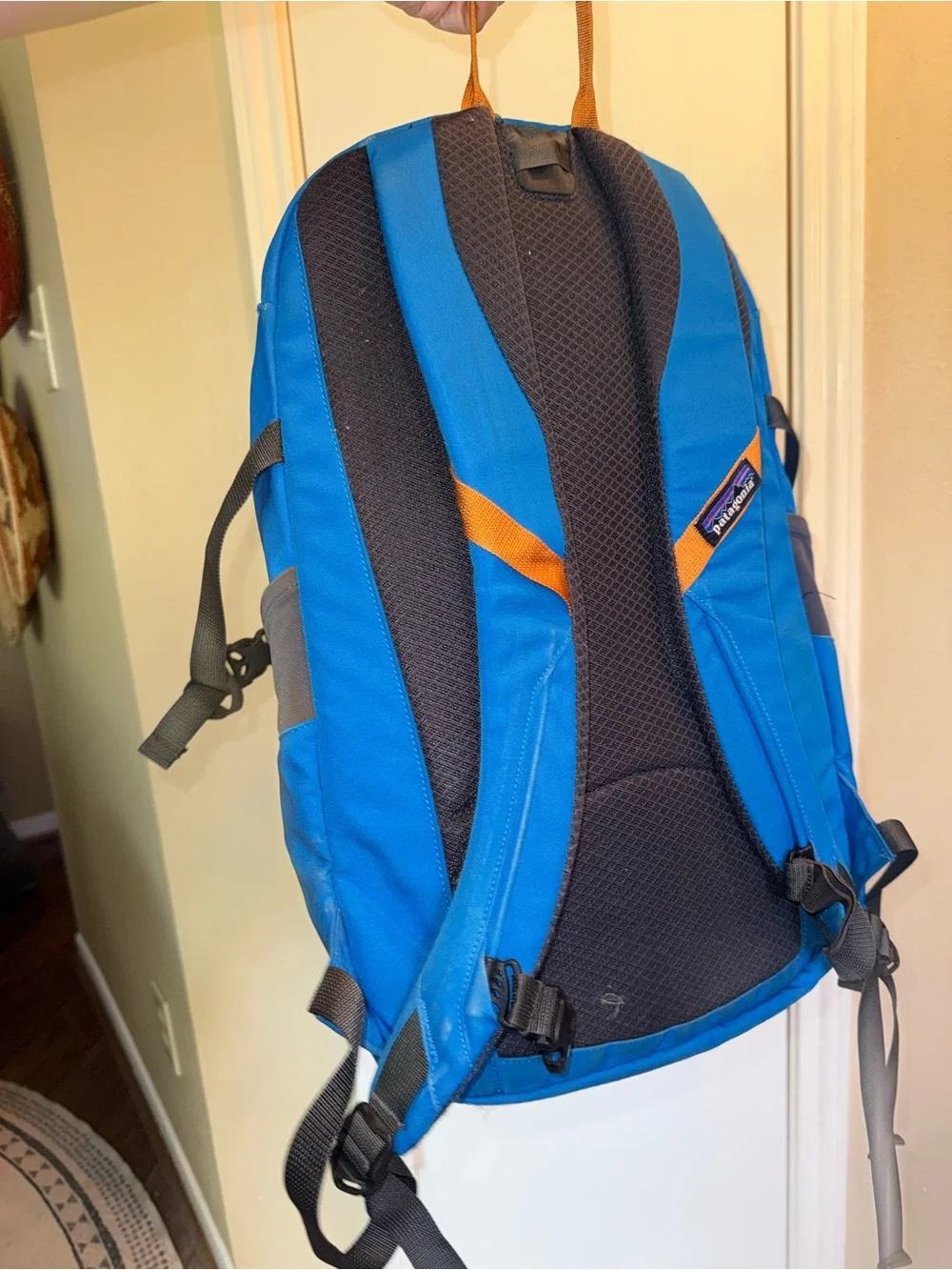 Patagonia Backpack